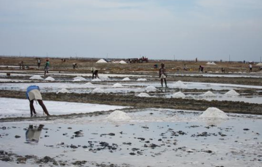 Songor Salt Lagoon 